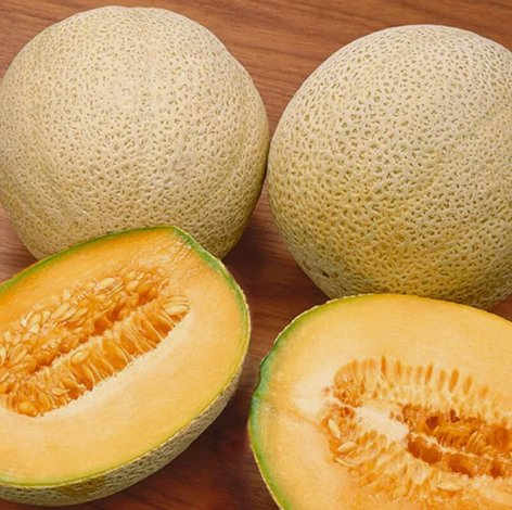 Honey Rock Melon Cantaloupe Vegetable Heirloom 25 Seeds for Garden Planting