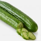 English Slicing Cucumber Vegetable Heirloom 35 Seeds for Garden Planting