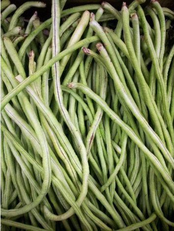 Yard Long Cowpea Bean Vegetable Heirloom 50 Seeds for Garden Planting