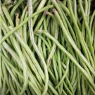 Yard Long Cowpea Bean Vegetable Heirloom 50 Seeds for Garden Planting