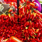 Calabrian Pepper Vegetable Heirloom 30 Seeds For garden Planting