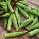 Emerald Okra  Non Gmo Vegetable Heirloom 100 Seeds For garden Planting