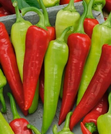 Sweet Banana Pepper Capsicum Annuum Heirloom 100 Seeds For garden Planting