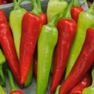 Sweet Banana Pepper Capsicum Annuum Heirloom 100 Seeds For garden Planting