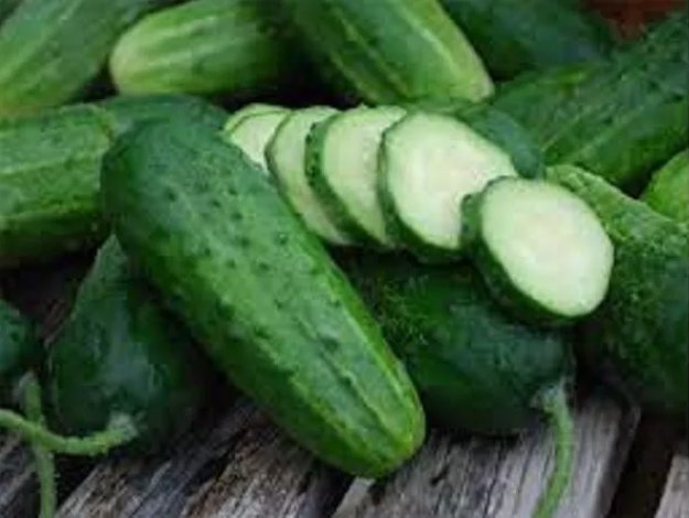 Premium Boston Pickling Cucumber Fresh Vegetable Non Gmo 25 Seeds For garden Planting