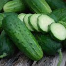 Premium Boston Pickling Cucumber Fresh Vegetable Non Gmo 25 Seeds For garden Planting