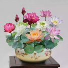 Mixed Color The Sacred Bonsai Lotus Flower Vegetable Heirloom 15 Seeds For garden Planting