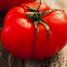 Beefsteak Tomato Non Gmo Vegetable Heirloom 50 Seeds For garden Planting