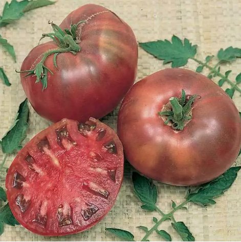 Cherokee Purple Tomato Non Gmo Vegetable Heirloom 30 Seeds For garden Planting