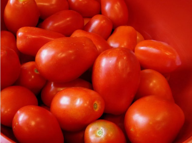 Roma Italian Tomato Non Gmo Vegetable Heirloom 50 Seeds For garden Planting