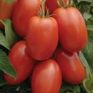 Roma Tomato Vegetable Heirloom 50 Seeds For garden Planting