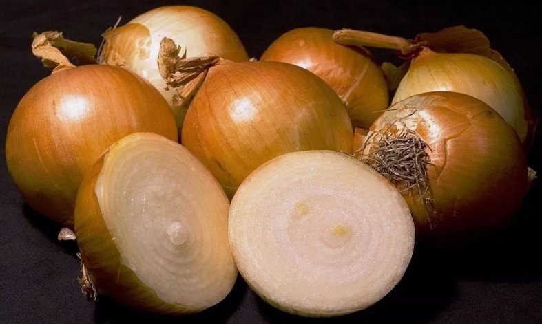 Yellow Sweet Spanish Onion Non Gmo Vegetable Heirloom 250 Seeds For garden Planting