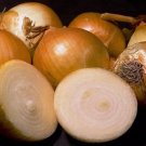 Yellow Sweet Spanish Onion Non Gmo Vegetable Heirloom 250 Seeds For garden Planting