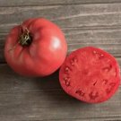 Amish Heirloom Pennsylvania Rose Tomato Non Gmo Vegetable Heirloom 20 Seeds For garden Planting
