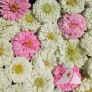 Zinnia Blushing Bride Mix Cut Flowers Vegetable Heirloom 200 Seeds For garden Planting