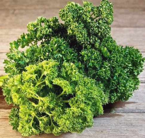 Triple Moss Curled Parsley Vegetable Heirloom 500 Seeds For garden Planting