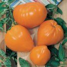 Orange Oxheart Tomato Vegetable Heirloom 50 Seeds For garden Planting