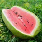 Charleston Gray Watermelon Huge 35-50 lbs Vegetable 14 Seeds For garden Planting