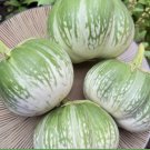 Cambodian Green Giant Eggplant Vegetable Heirloom 20 Seeds For garden Planting