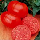 Tomato Watermelon Beefsteak 1-2 Lb Fruit Vegetable Heirloom 35 Seeds For garden Planting