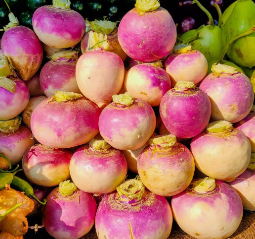 Purple Top Turnip Non Gmo Vegetable Heirloom 200 Seeds For garden Planting