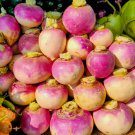 Purple Top Turnip Non Gmo Vegetable Heirloom 200 Seeds For garden Planting