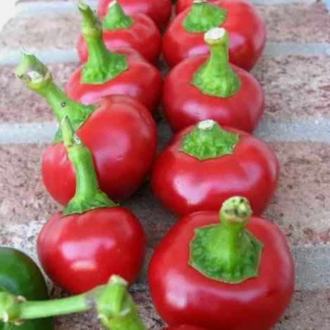 Cherry Pepper Large Red Vegetable Heirloom 30 Seeds For garden Planting