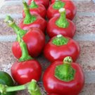 Cherry Pepper Large Red Vegetable Heirloom 30 Seeds For garden Planting