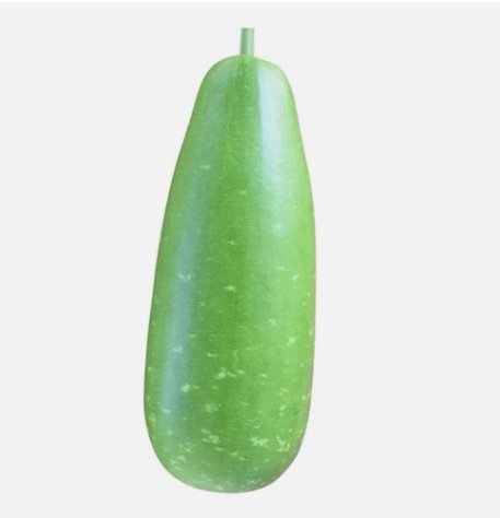 Big Bottle Gourd Nandini F1 Bangladeshi Vegetable Heirloom 8 Seeds For garden Planting
