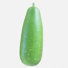 Big Bottle Gourd Nandini F1 Bangladeshi Vegetable Heirloom 8 Seeds For garden Planting