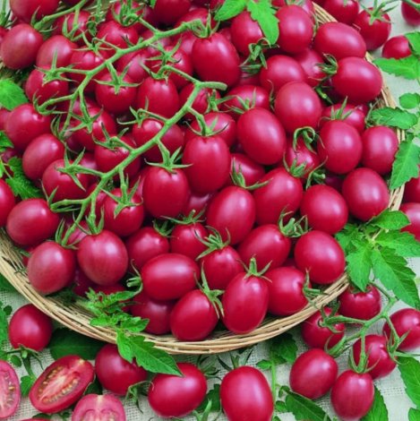 Tomato Cherry Pink Grape Vegetable Heirloom 200 Seeds Garden Planting