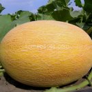 20 Seeds F1 Hybrid Giant Ananas Melon  Heirloom Garden Planting