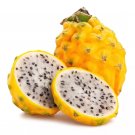 20 Seeds YELLOW DRAGON FRUIT Pitaya Pitahaya Pear Hylocereus Megalanthus Cactus