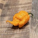 100 Seeds Peach Carolina Reaper Chili Pepper Vegetable Heirloom 100 Seeds Peach Carolina Reaper Chili Pepper Vegetable Heirloom