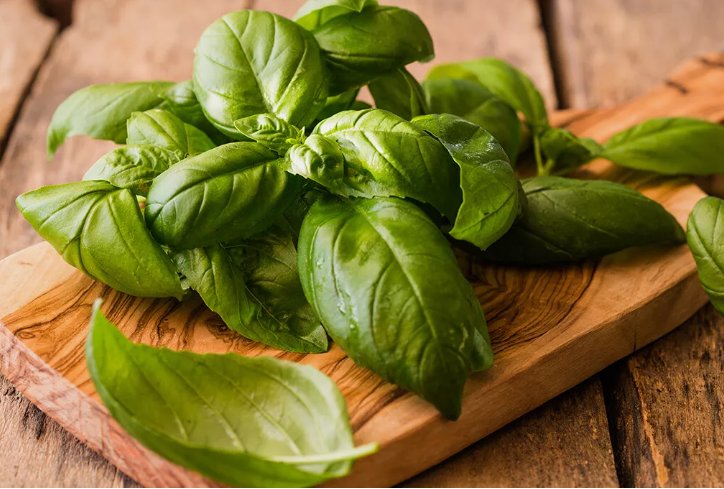 200 Seeds Genovese Basil&Acirc;&nbsp;Non Gmo Vegetable Heirloom