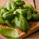 200 Seeds Genovese Basil Non Gmo Vegetable Heirloom