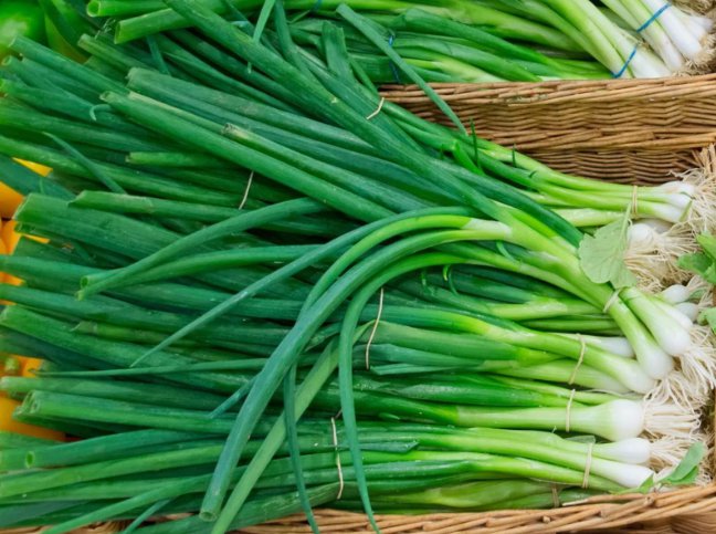 5 Seeds Evergreen Bunching Green Onion Non Gmo Vegetable Heirloom