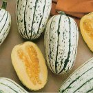 20 Seeds Delicata Squash Heirloom Non Gmo Easy To Grow