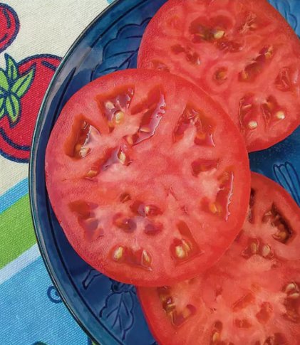 15 Seeds Beefsteak Heirloom Tomato Non Gmo Easy To Grow