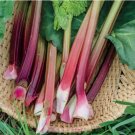 30 Seeds Victoria Rhubarb Heirloom Non Gmo Easy To Grow