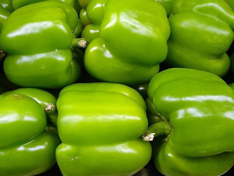 200 Seeds BIG GREEN BELL PEPPER Sweet Capsicum Annuum Vegetable ip