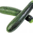 50 Seeds BLACK BEAUTY ZUCCHINI SUMMER SQUASH Cucurbita Pepo Vegetable