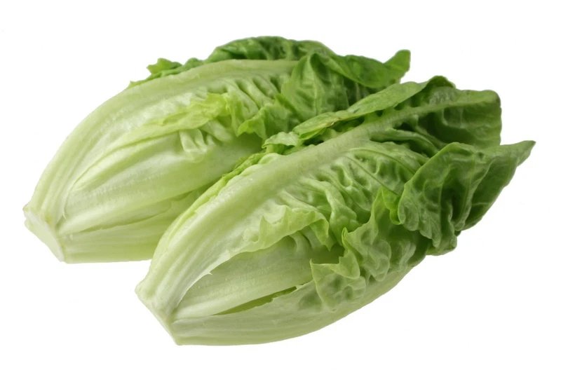 3000 Seeds-lITTLE GEM LETTUCE Small ROMAINE Butter Lactuca Sativa Vegetable