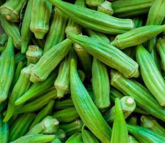 200 Seeds Okra Crimson Spineless Vegetable Heirloom Non Gmo Easy to Grow