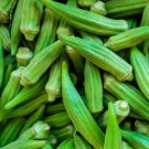 200 Seeds Okra Crimson Spineless Vegetable Heirloom Non Gmo Easy to Grow