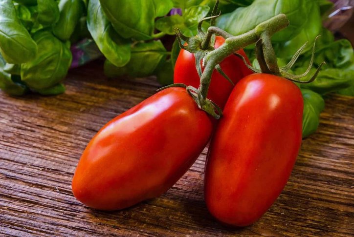 225 Seeds San Marzano Tomato Vegetable Heirloom Easy to Grow
