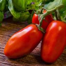 225 Seeds San Marzano Tomato Vegetable Heirloom Easy to Grow