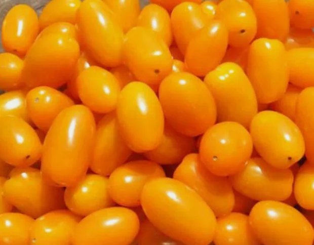 20 Seeds Mini San Marzano Orange Grape Tomato Non Gmo Vegetable Heirloom Easy to Grow