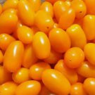 20 Seeds Mini San Marzano Orange Grape Tomato Non Gmo Vegetable Heirloom Easy to Grow