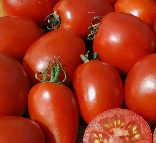 20 Seeds Amish Paste Tomato Indeterminate Organic Non Gmo Easy to Grow